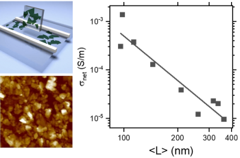 Thousandfold improvement in MoS2 conductivity Langmuir films