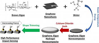 Illustration of system for fabricating graphene algae hydrogels
