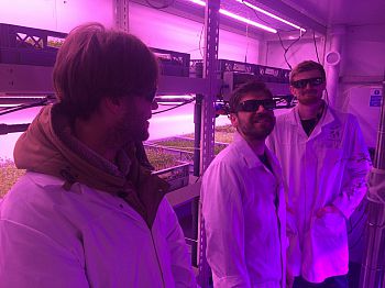 Image of research team at vertical farming facility