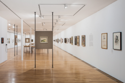 Installation shot from A Tale of Mother’s Bones: Grace Pailthorpe, Reuben Mendikoff and the Birth of Psychorealism, De La Warr Pavilion. Photo: Rob Harris.