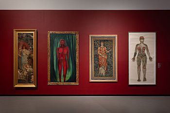View of a gallery displaying artworks
