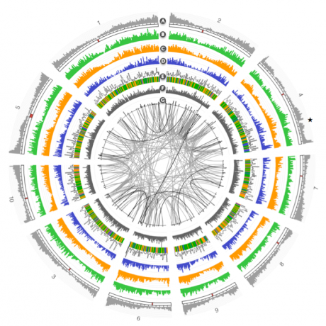 genome