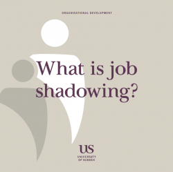 Job Shadowing image
