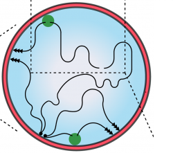 Image from Author's view