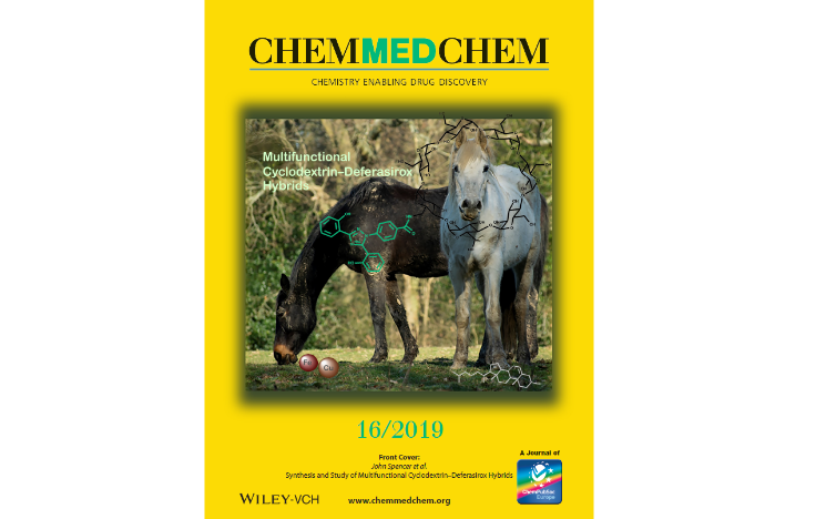 Cover of Chem Med Chem journal