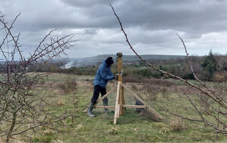 Adrian Kaluka performing maintenance on a wooden monitoring station in a field on the Wiston Estate