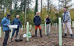 A team stood in the woods, performing earthworm surveys on the Gravetye Estate