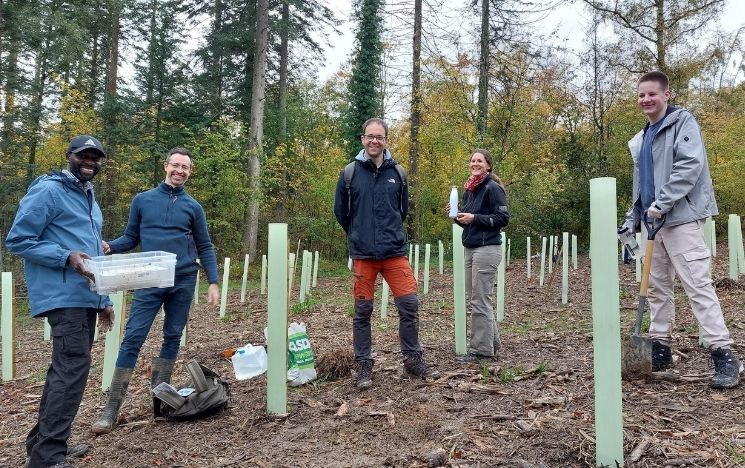 A team stood in the woods, performing earthworm surveys on the Gravetye Estate