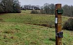 A wooden post with monitoring technology attached to it stands in a field with trees and rolling hills in the distance