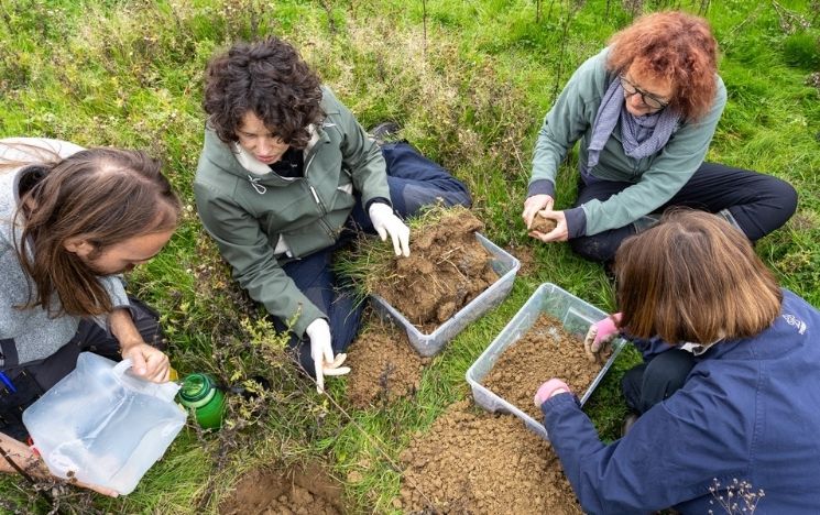 A group of Nature Sense staff and Knepp volunteers sit on the grass and move dug up soil into plastic tubs