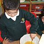 St Josephs Catholic Primary School bee project - Making food and growing plants