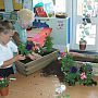 St Josephs Catholic Primary School bee project - Making food and growing plants