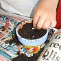 St Josephs Catholic Primary School bee project - Making food and growing plants