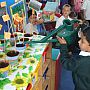 St Josephs Catholic Primary School bee project - Making food and growing plants