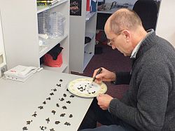 LASI research facilities manager, Luciano Scandian, counting bees