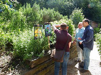 workshop participants looking at flowers