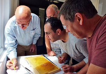 workshop participants looking at grafting