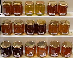 Shelf of honey jars