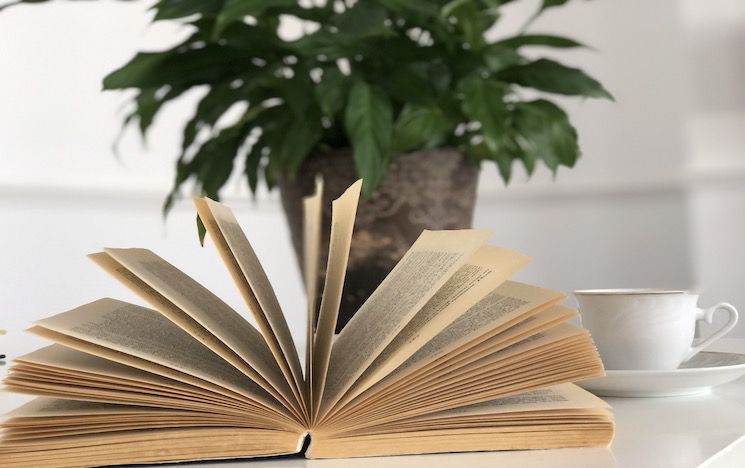 >Book with plant behind