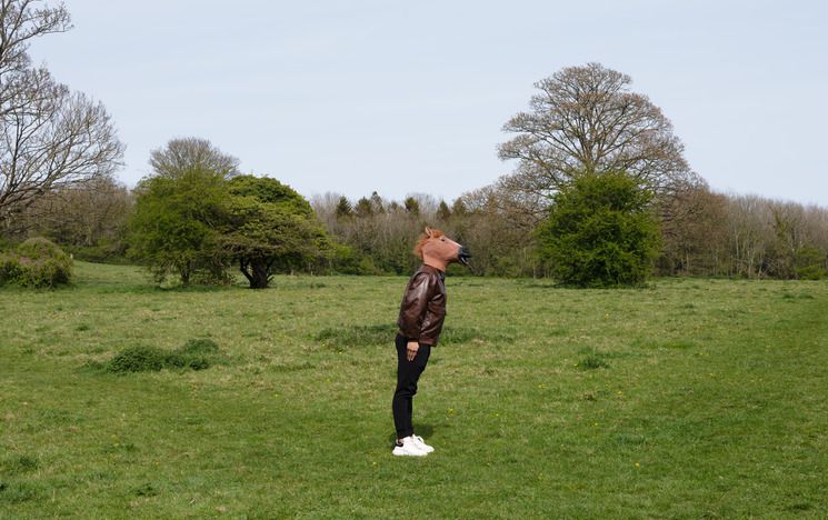 Person wearing horse head mask stands in a field
