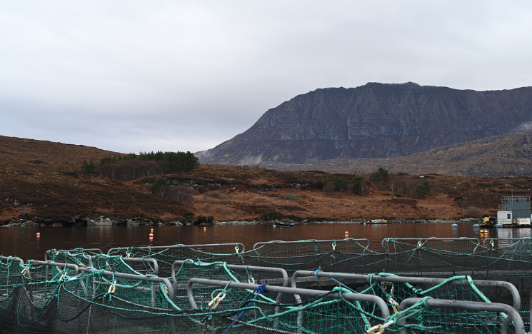 A salmon fish pen in a lake with mountains in the background, on a cloudy day