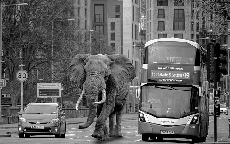 A black and white shot of a street with a car, elephant and a bus in the foreground.
