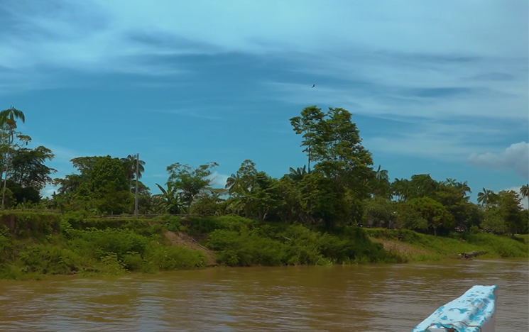 A boat on the rive surrounded by trees