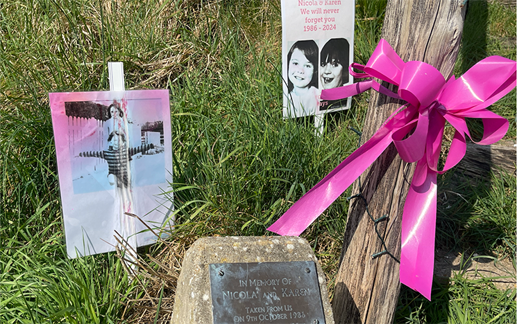 A grave stone surrounded by a photo and pink ribbon