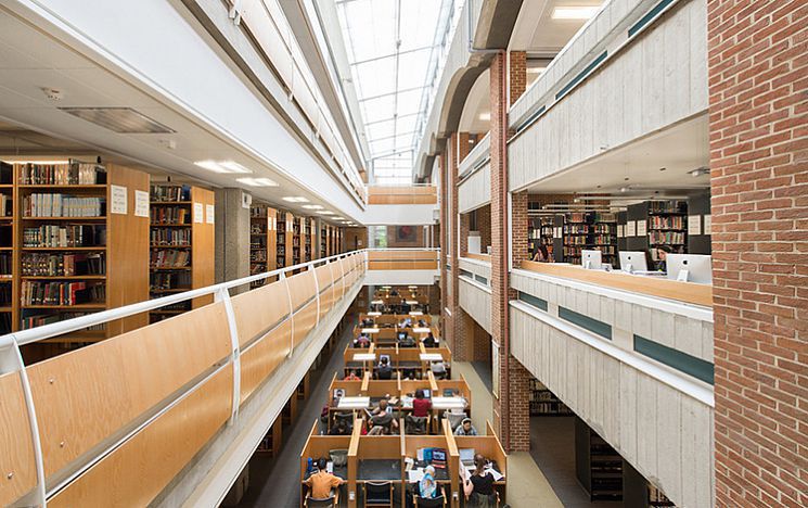 A view of Sussex library from the inside