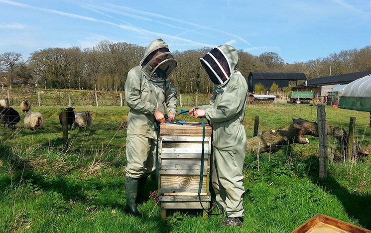 Two people in bee suits opening up a hive