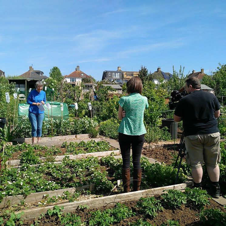 Volunteer Viv being interviewed by BBC Spotlight