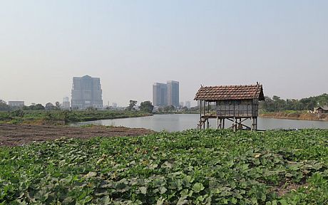 A peri-urban farm on the outskirts of Kolkata