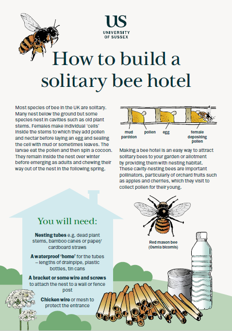 Illustrations of bee hotels with instructions for how to build