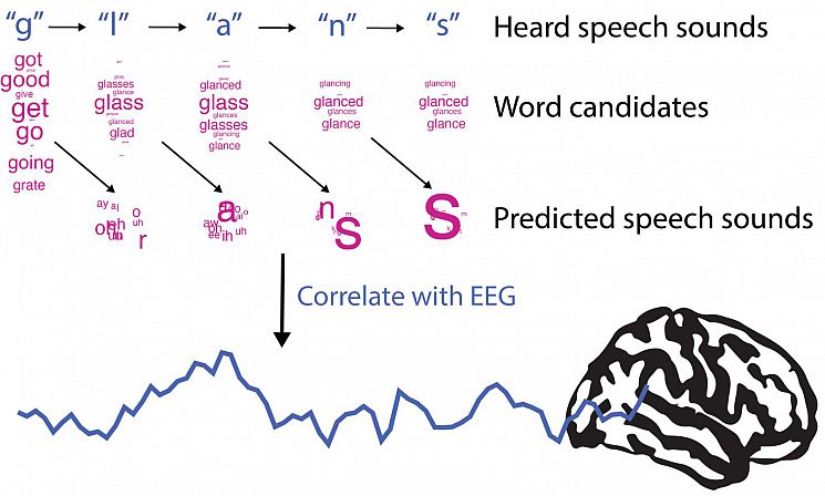 Model of speech processing