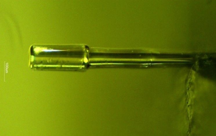 Integrated fibre optics for cavity-fibre mode matching