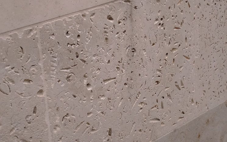 Fossils on the stone of the Laidlaw Library, Leeds