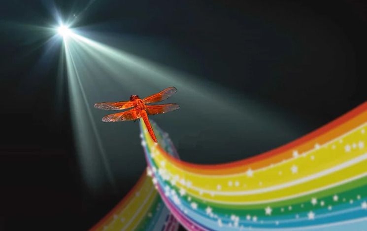 Depiction of a red dragonfly with a rainbow following it heading towards a light