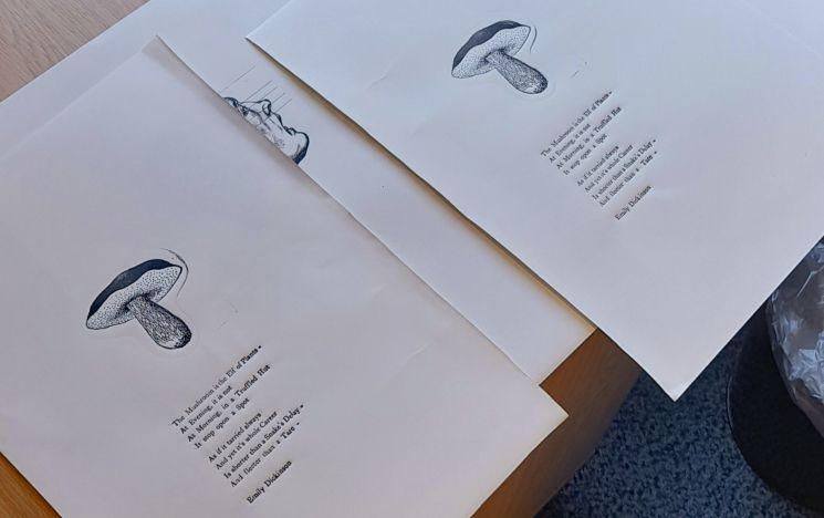 Two pieces of paper with printed pictures of mushrooms and text