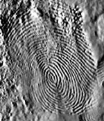 Charge image of fingerprint