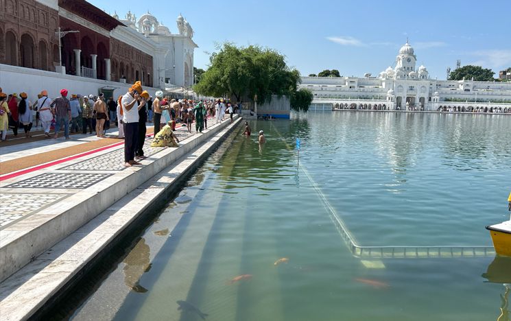 Dukh Bhanjani Ber next to the sarovar around the Harmandir Sahib