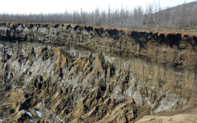 The Batagay megaslump, Siberia 