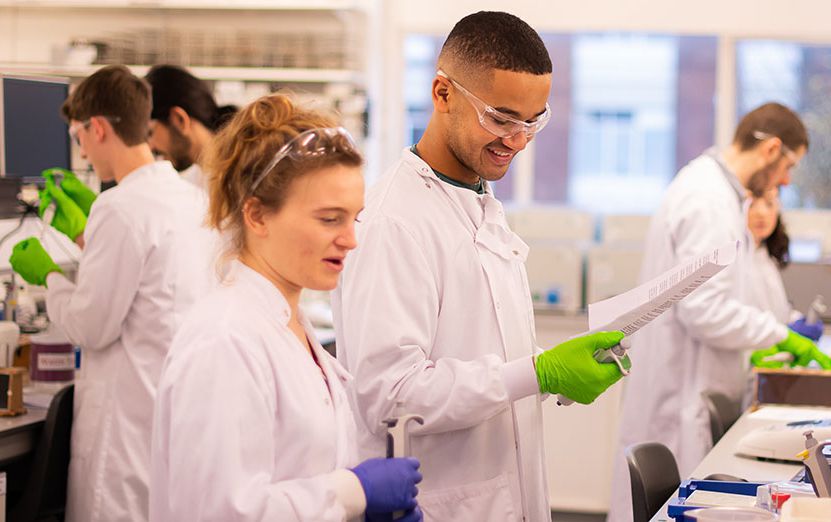 Students carrying out a lab practical