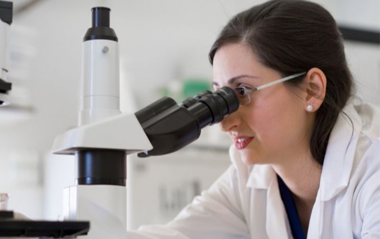 Scientist looking through a microscope in a lab at the University of Sussex