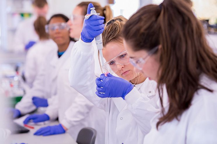 Students working in a lab