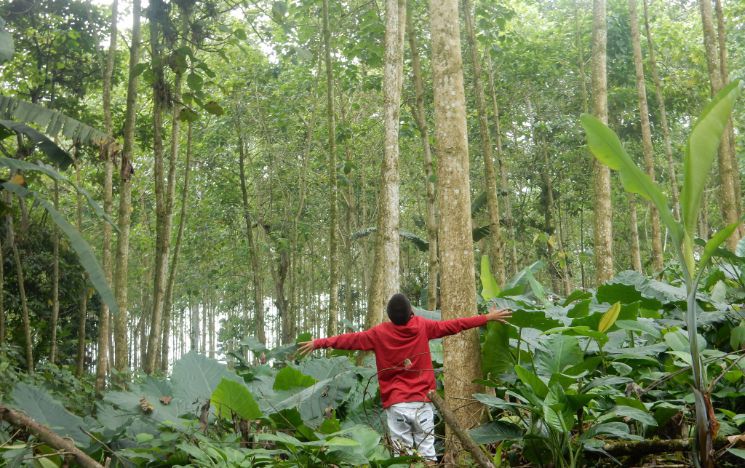 A young boy spreads his arms in wonder in an Ecuadorian rainforest
