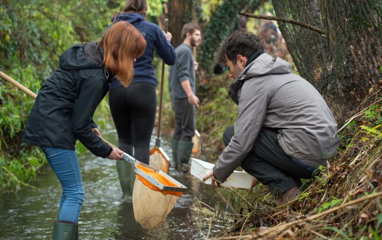 Students collect pollution samples in a river