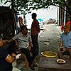 People talking under a tree with the sea in the background