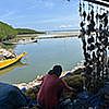 Woman ties seaweed onto a rope next to the sea
