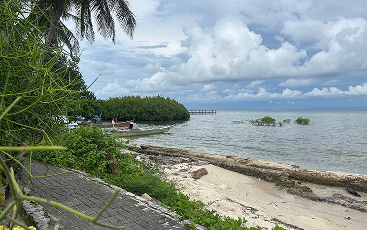 Path next to beach with log on the shore