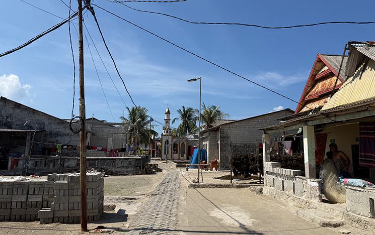 Electricity poles in a remote Indonesian village